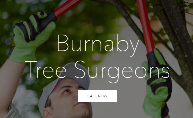 Tree Service Burnaby