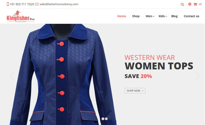 Odoo Kingfisher Fashion Theme