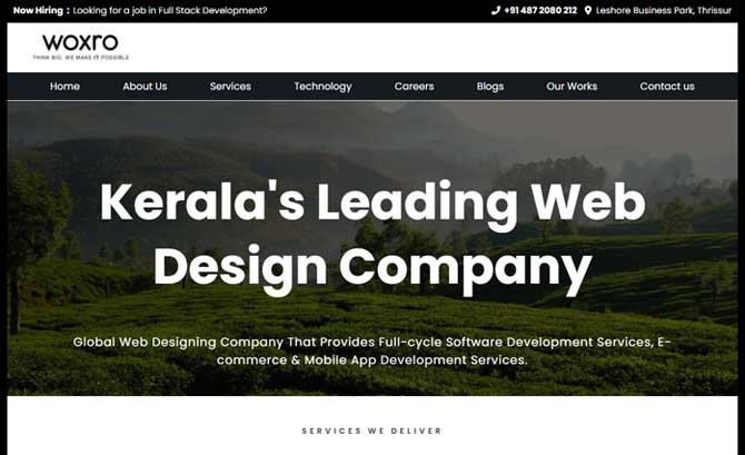 Web Design Company in Kerala