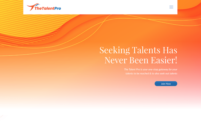 The Talent Pro