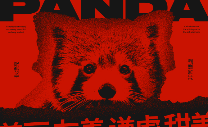 RED PANDA