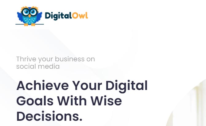 Digital Owl