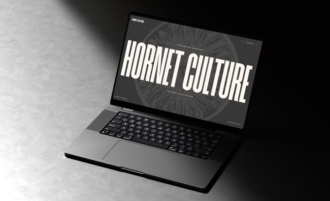 HORNET CULTURE