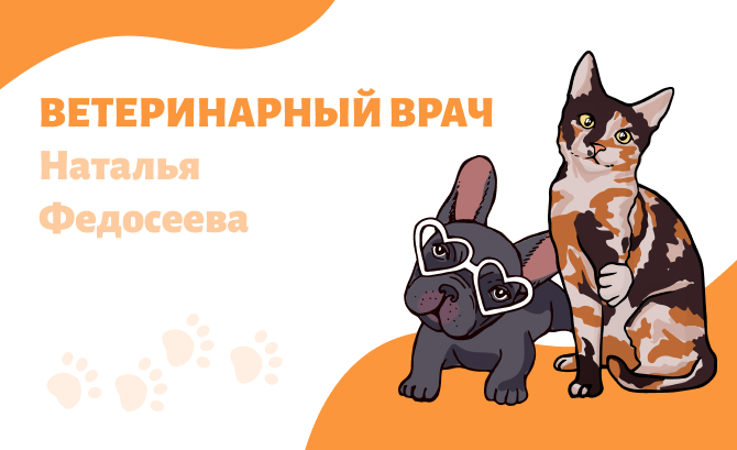 natalivetdoc